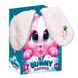 ИГРОВОЙ НАБОР "BUNNY SURPRISE" (УКР) VLADI TOYS (VT8080-10)